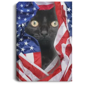 American Flag Black Cat Canvas .75in Frame