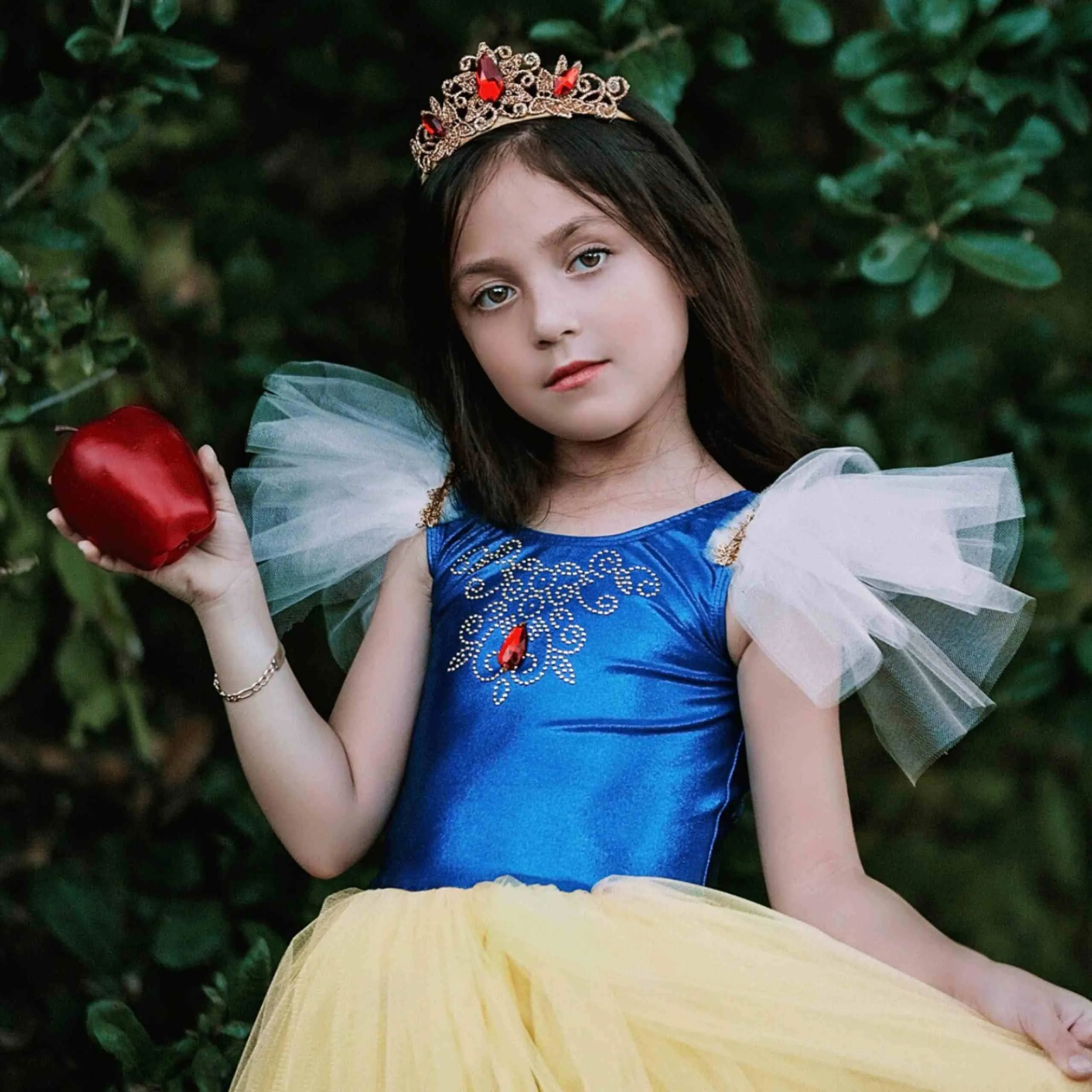 Chloe Princess Crown - Red - Wholesale
