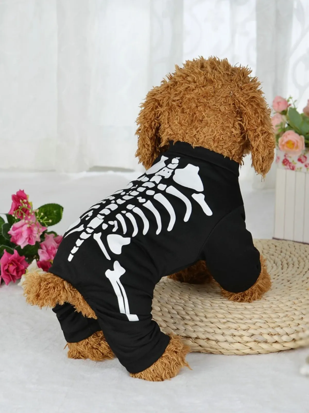 Dog Spooky Skeleton Halloween Costume