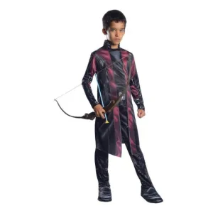 Hawkeye Classic Costume Size L