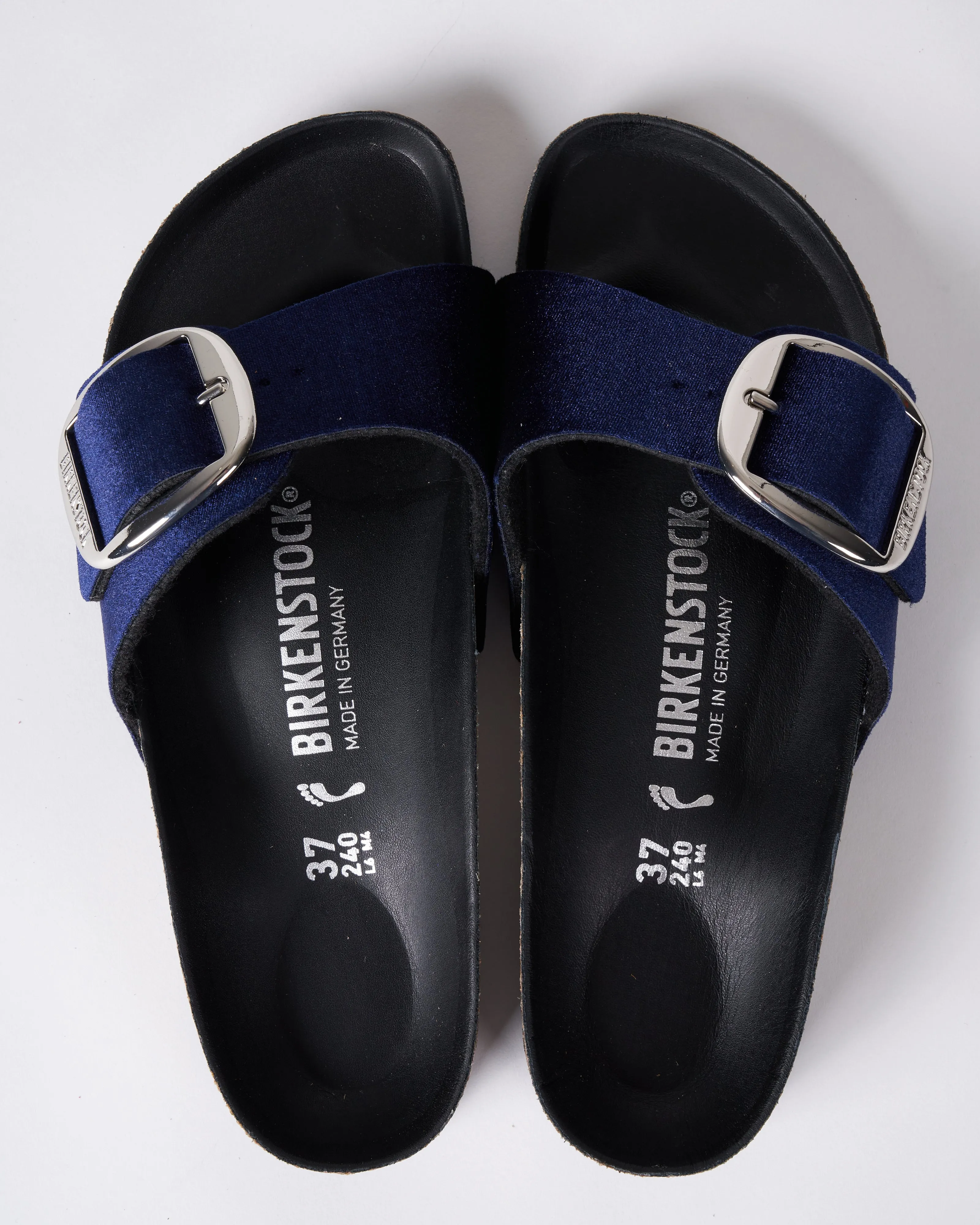 madrid big buckle - velvet \ midnight