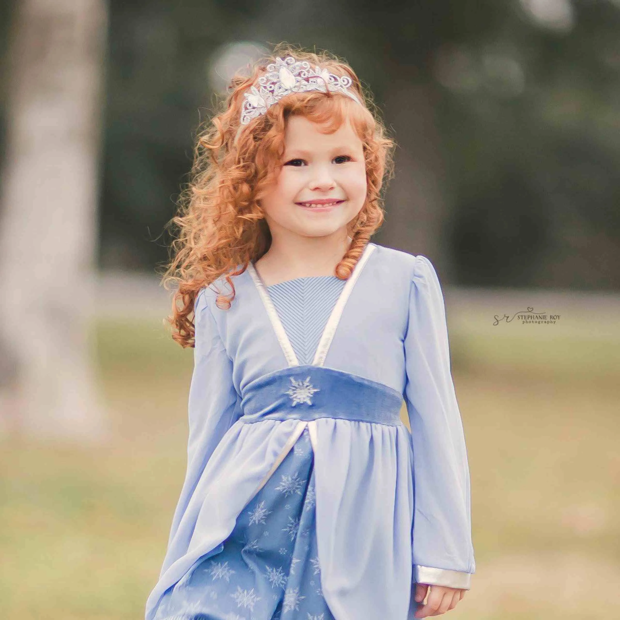 Raven Princess Crown - Silver - Wholesale