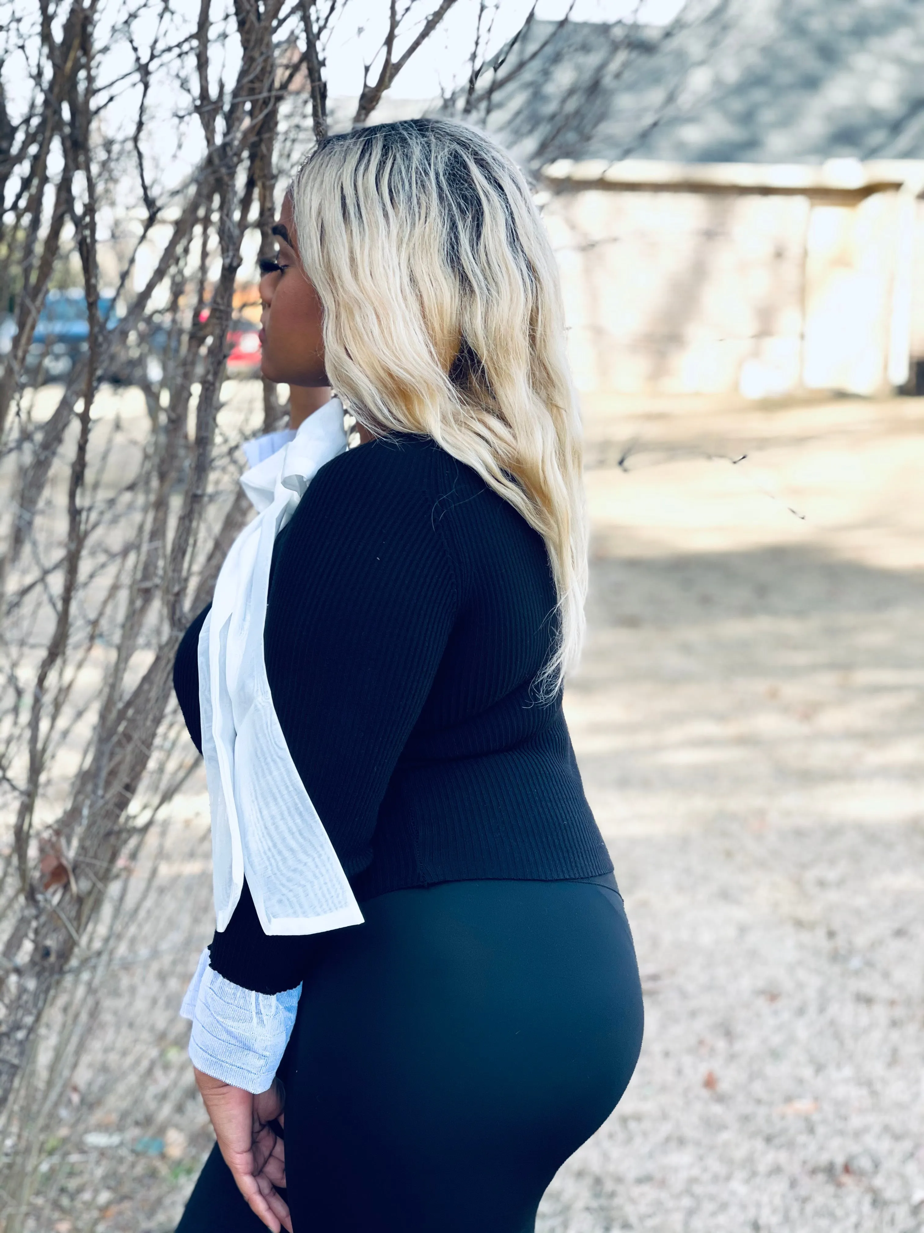 Sassyn Bowknot Sweater